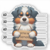 Frecher Australian Shepherd Aufkleber (Vorderseite)