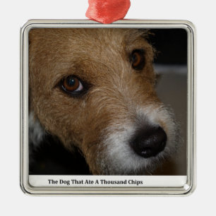 Frecher Hund aß die Chips, die schlechter Hund de Silbernes Ornament
