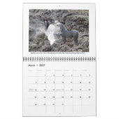 Frecher, philosophischer, surrealer Kalender (Mär 2027)