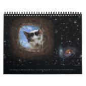 Frecher, philosophischer, surrealer Kalender (Titelbild)