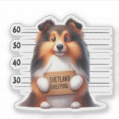 Frecher Shetland Sheepdog Aufkleber (Vorderseite)