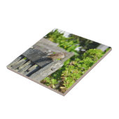 Frecher Spatz Fliese (Seite)