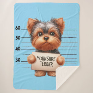 Frecher Yorkshire Terrier Sherpadecke