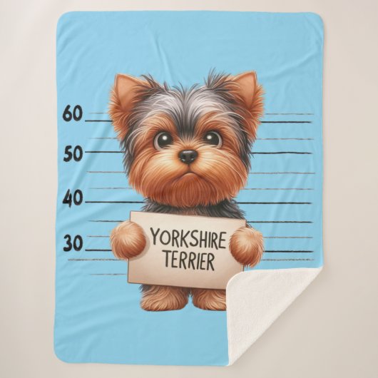 Frecher Yorkshire Terrier Sherpadecke (Vorderseite)