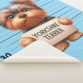 Frecher Yorkshire Terrier Sherpadecke (3/4)