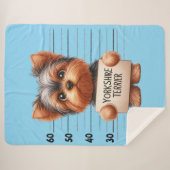 Frecher Yorkshire Terrier Sherpadecke (Vorderseite (Horizontal))