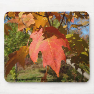 Freches Mousepad der Natur