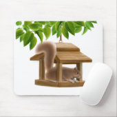Freches Vogel-Zufuhr-Eichhörnchen Mousepad (Mit Mouse)