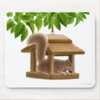 Freches Vogel-Zufuhr-Eichhörnchen Mousepad
