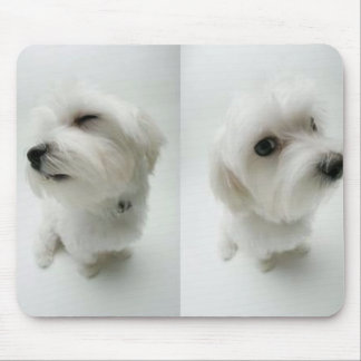 Frechwelpen Mousepad