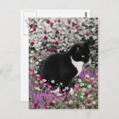 Freckles der Blume II - Tuxedo Cat Postkarte (Vorne/Hinten)