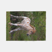Freckles Fleece Blanket (Vorderseite (Horizontal))