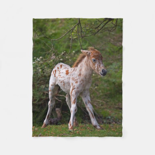 Freckles Fleece Blanket (Vorderseite)