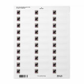 Freckles in Blume II - Tuxedo Kitty Cat (Vorne)