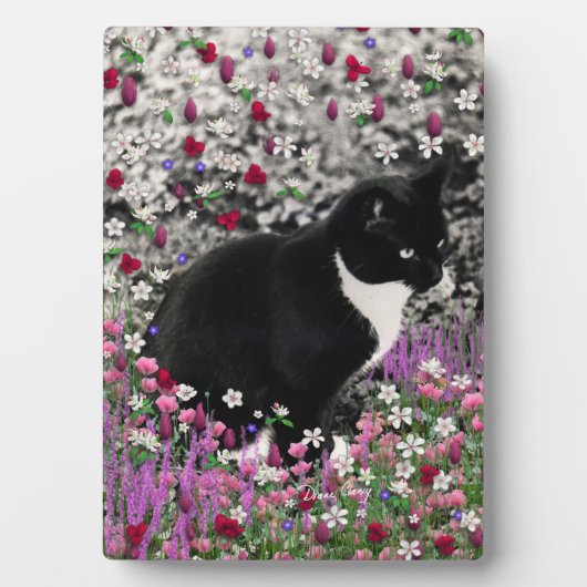 Freckles in Blume II - Tuxedo Kitty Cat Fotoplatte (Vorderseite)