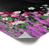 Freckles in Blume II - Tuxedo Kitty Cat Poster (Ecke)