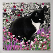 Freckles in Blume II - Tuxedo Kitty Cat Poster (Vorne)