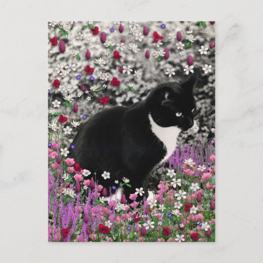 Freckles in Blume II - Tuxedo Kitty Cat Postkarte (Vorderseite)