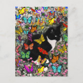 Freckles in Butterflies - Tux Kitty Cat Postkarte (Vorderseite)
