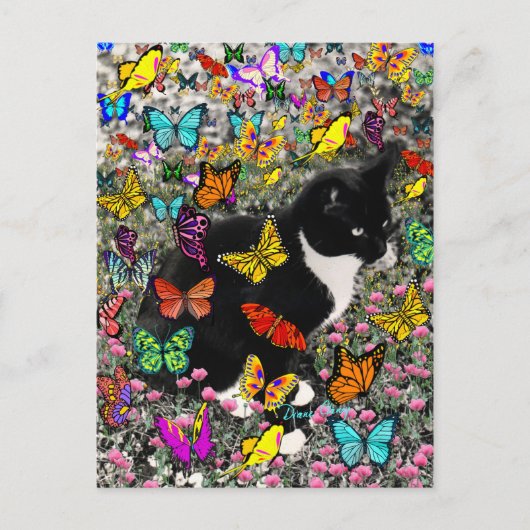 Freckles in Butterflies - Tux Kitty Cat Postkarte (Vorderseite)