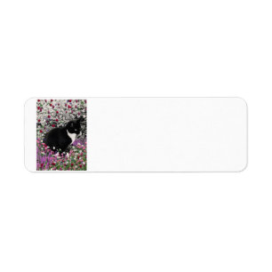 Freckles in den Blumen II - Tuxedokitty-Katze