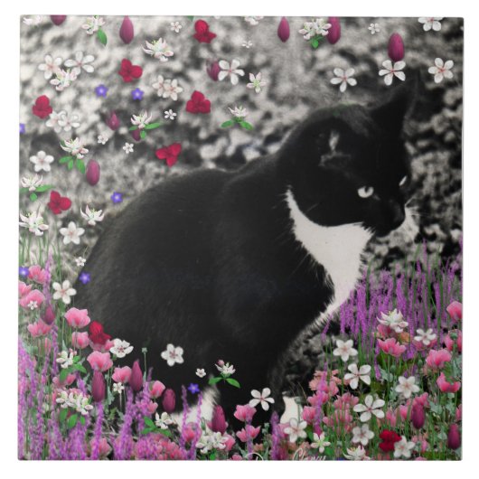 Freckles in den Blumen II - Tuxedokitty-Katze Fliese (Vorderseite)