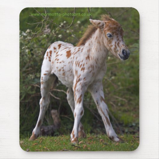Freckles Mousemat Mousepad (Vorne)