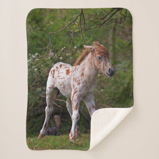 Freckles Sherpa Blanket Sherpadecke (Vorderseite)