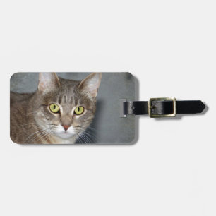 Fred Gepäckanhänger