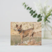 Fred Postkarte (Stehend Vorderseite)