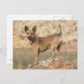 Fred Postkarte (Vorne/Hinten)