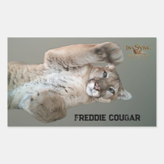 Freddie Cougar Rechteckiger Aufkleber (Vorderseite)