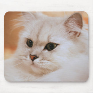 Freddie das große Mousepad