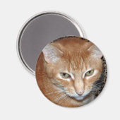 Freddie Magenet Magnet (Vorderseite/Rückseite)