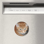 Freddie Magenet Magnet (In Situ (Geschirrspüler))