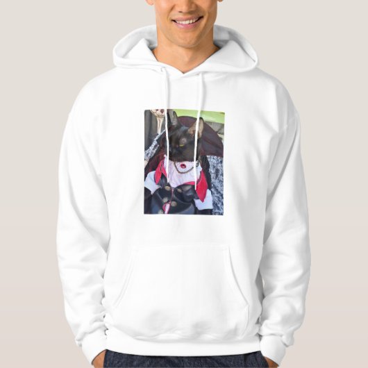 Freddie Sweatshirt (Vorderseite)