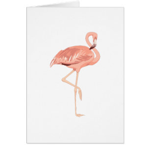 Freddy-Flamingo