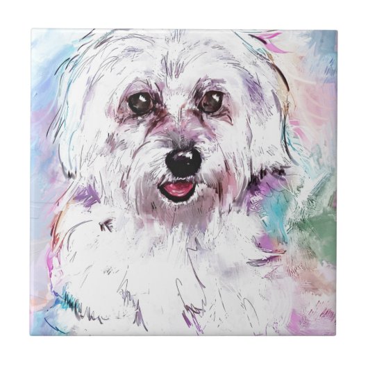 FREDDY FLIESE (Vorderseite)