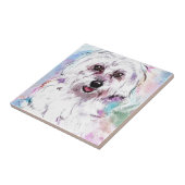 FREDDY FLIESE (Seite)