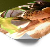 Freddy Poster (Ecke)