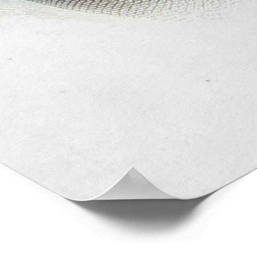 Frederic Chopin Poster (Ecke)