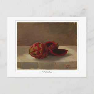 Frederic Edwin Church #16 - Fine Art Postkarte