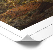 Frederic Edwin Church Fine Art #2 Poster (Ecke)