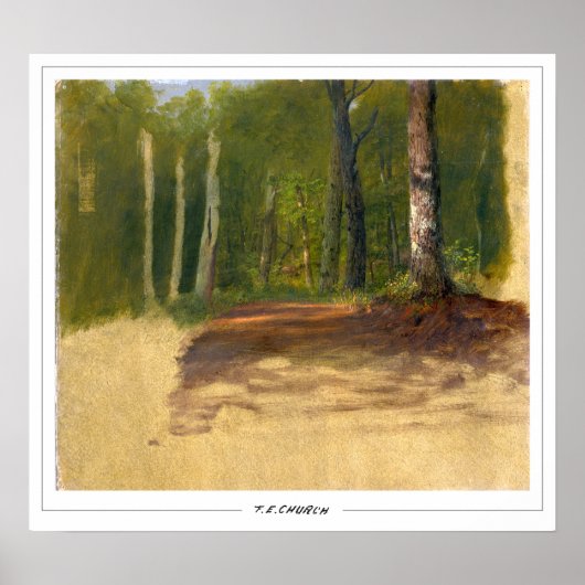 Frederic Edwin Church Fine Art #388 Poster (Vorne)