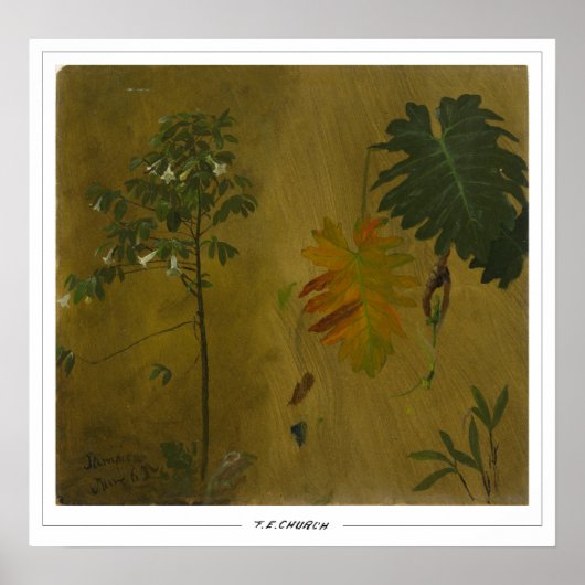 Frederic Edwin Church Fine Art #48 Poster (Vorne)