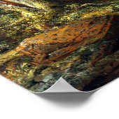 Frederic Edwin Church Storm in den Bergen Poster (Ecke)