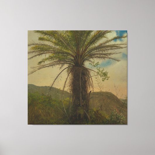 Frederic Edwin Church - Tree Fern, Jamaica Leinwanddruck (Vorderseite)