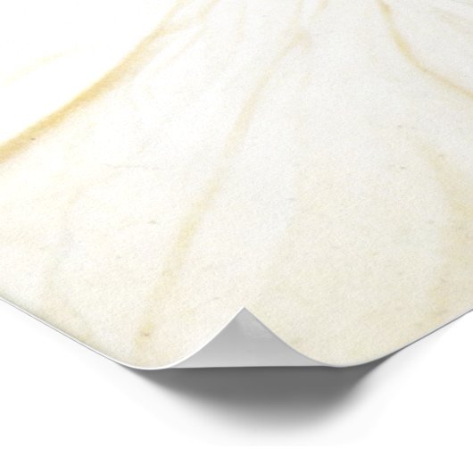 Frederic Leighton Pavonia Poster (Ecke)