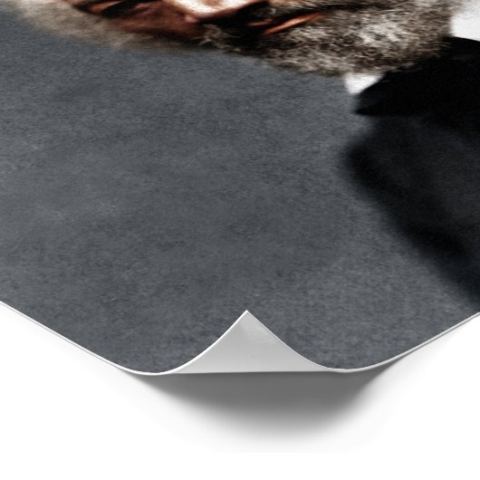 Frederick Douglass Colorized Poster (Ecke)