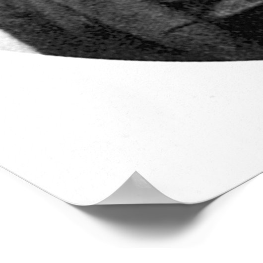 Frederick Douglass Poster (Ecke)